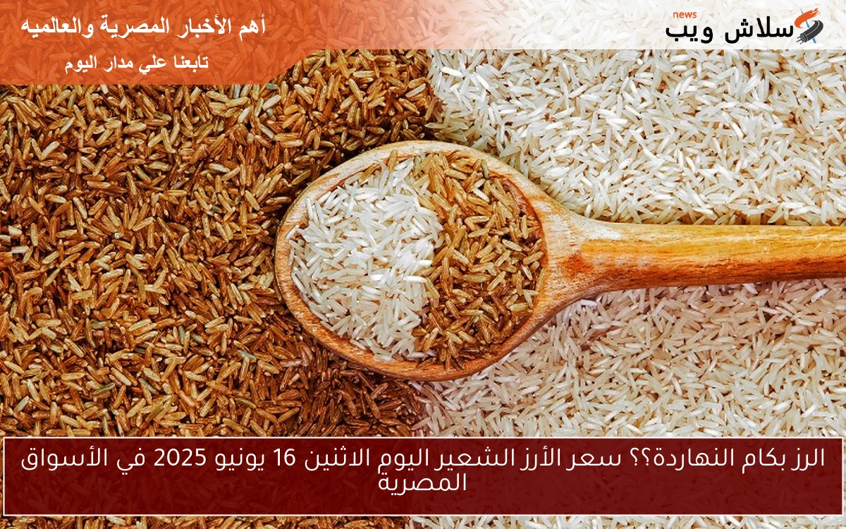 الرز بكام النهاردة؟؟ سعر الأرز الشعير اليوم الاثنين 16 يونيو 2025 في الأسواق المصرية
