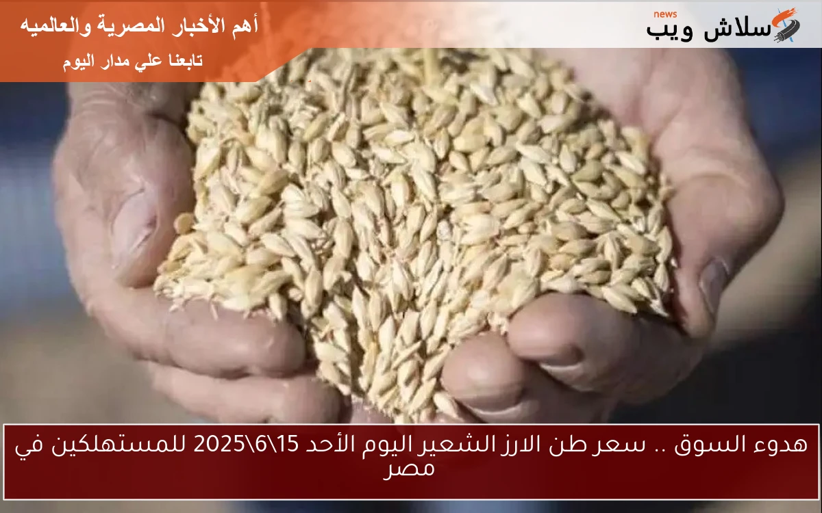 هدوء السوق .. سعر طن الارز الشعير اليوم الأحد 15\6\2025 للمستهلكين في مصر