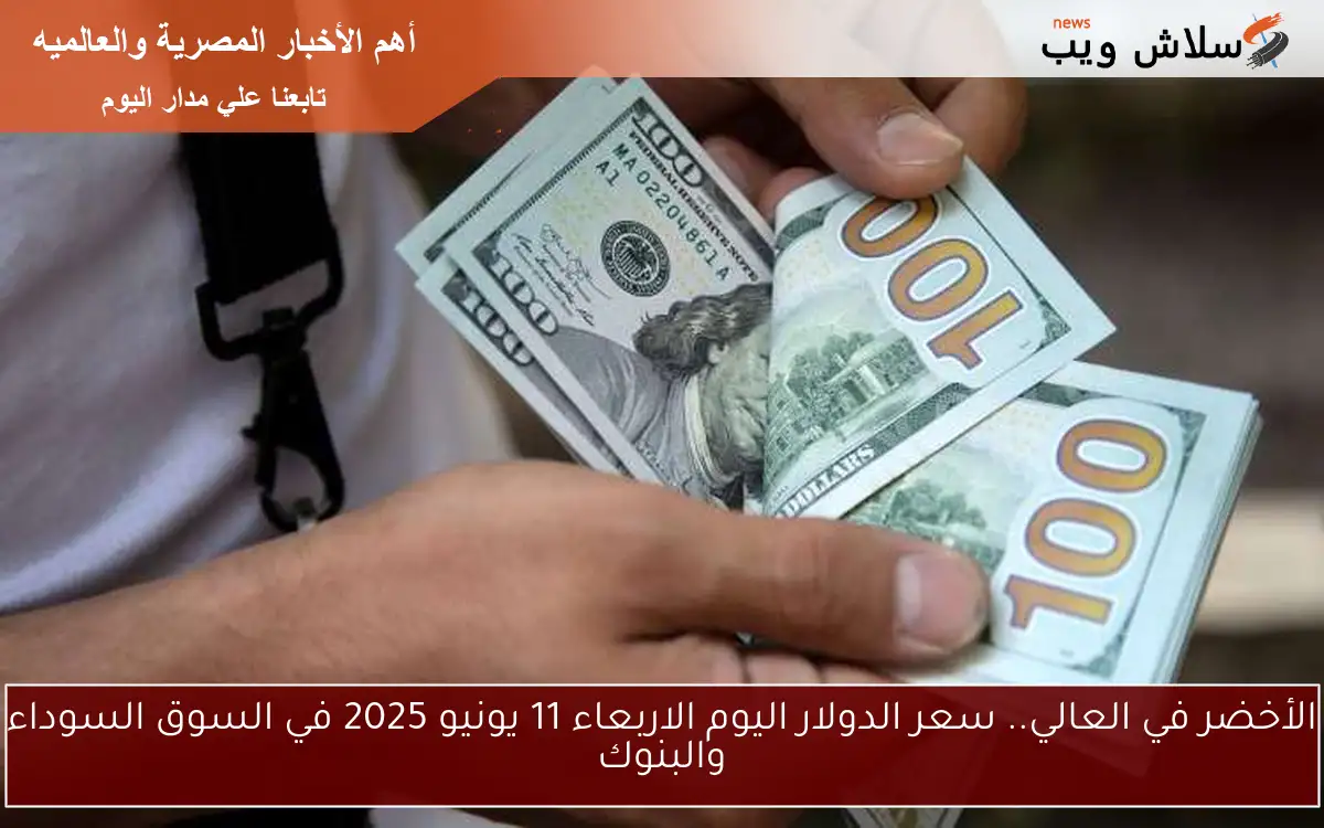 الأخضر في العالي.. سعر الدولار اليوم الاربعاء 11 يونيو 2025 في السوق السوداء والبنوك