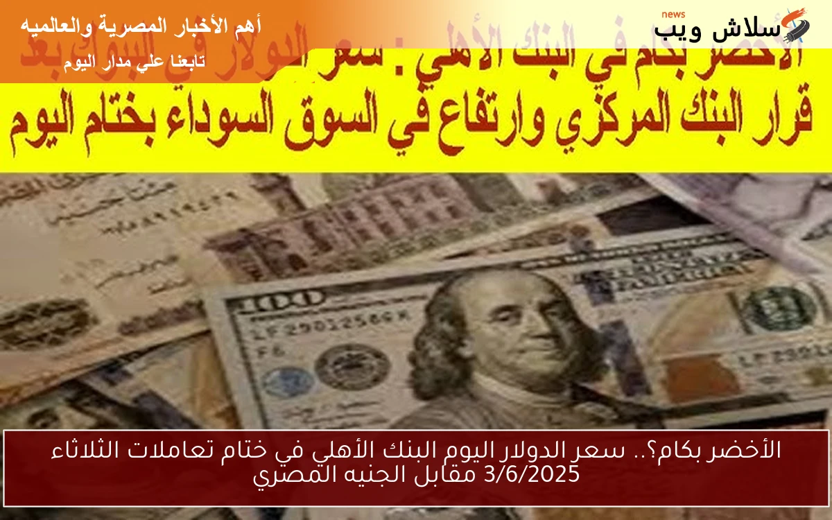 الأخضر بكام؟.. سعر الدولار اليوم البنك الأهلي في ختام تعاملات الثلاثاء 3/6/2025 مقابل الجنيه المصري