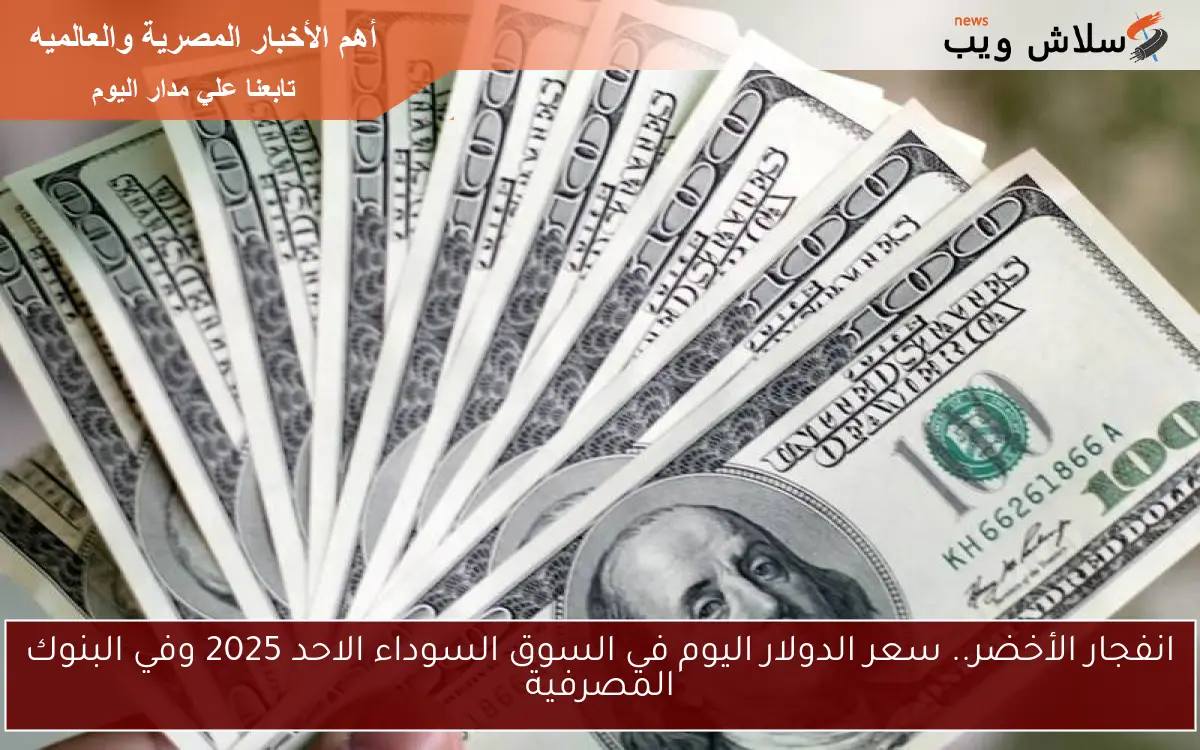 انفجار الأخضر.. سعر الدولار اليوم في السوق السوداء الاحد 2025 وفي البنوك المصرفية