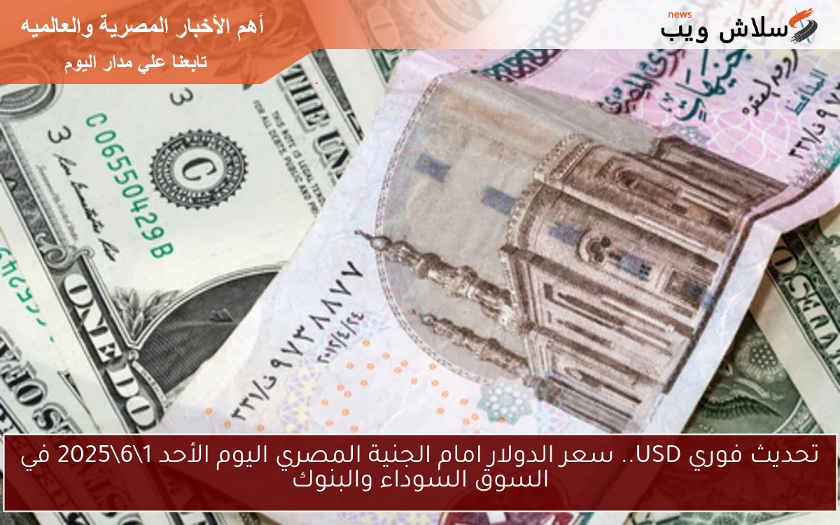 تحديث فوري USD.. سعر الدولار امام الجنية المصري اليوم الأحد 1\6\2025 في السوق السوداء والبنوك
