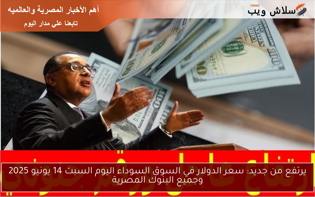 يرتفع من جديد: سعر الدولار في السوق السوداء اليوم السبت 14 يونيو 2025 وجميع البنوك المصرية