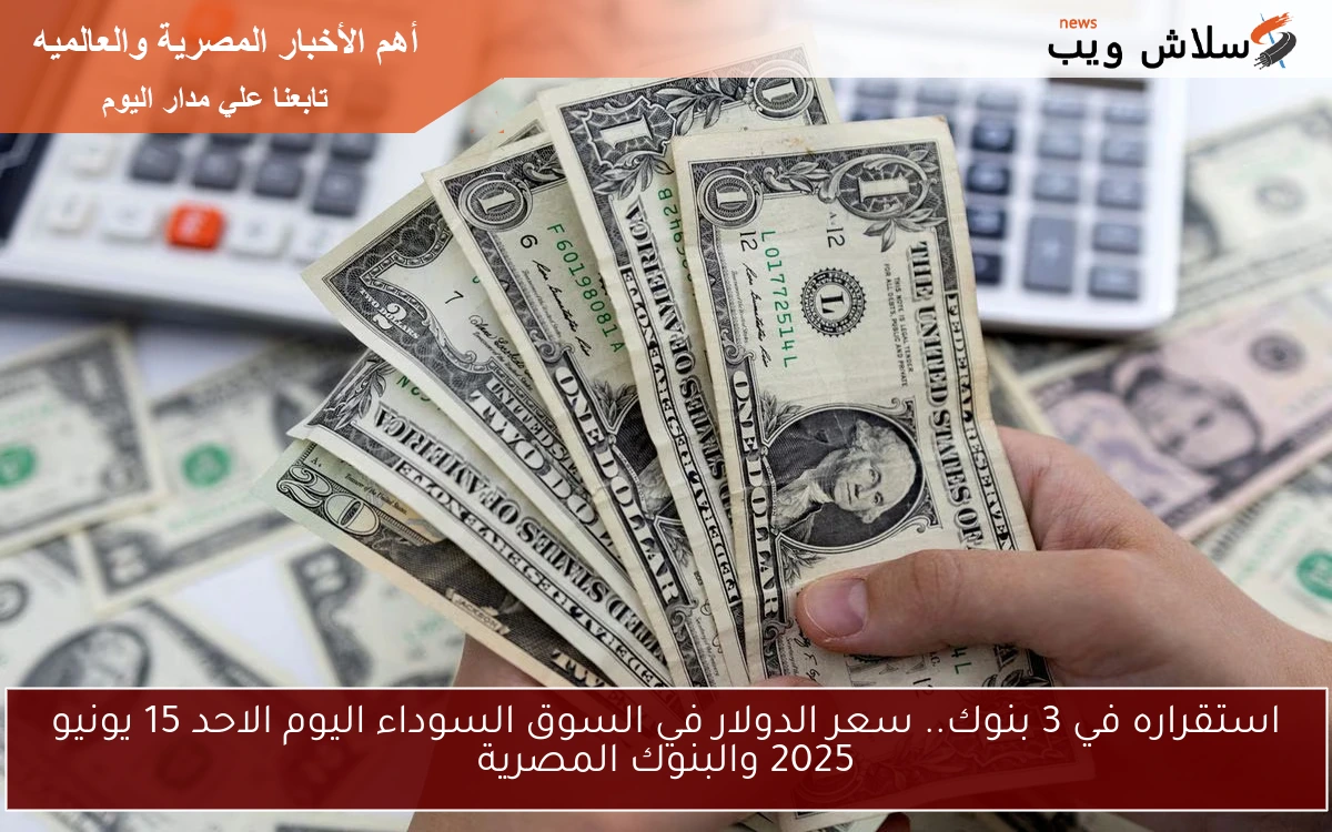 استقراره في 3 بنوك.. سعر الدولار في السوق السوداء اليوم الاحد 15 يونيو 2025 والبنوك المصرية
