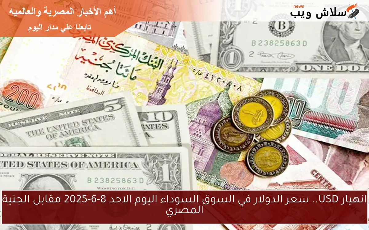 انهيار USD.. سعر الدولار في السوق السوداء اليوم الاحد 8-6-2025 مقابل الجنية المصري