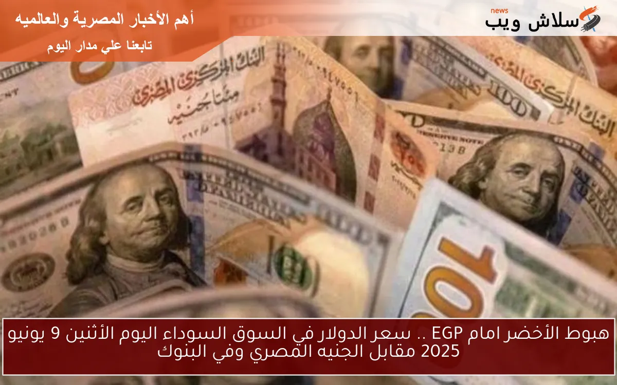 هبوط الأخضر امام EGP .. سعر الدولار في السوق السوداء اليوم الأثنين 9 يونيو 2025 مقابل الجنيه المصري وفي البنوك