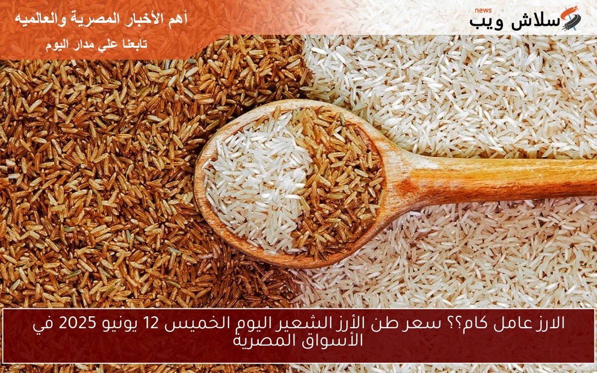 الارز عامل كام؟؟ سعر طن الأرز الشعير اليوم الخميس 12 يونيو 2025 في الأسواق المصرية