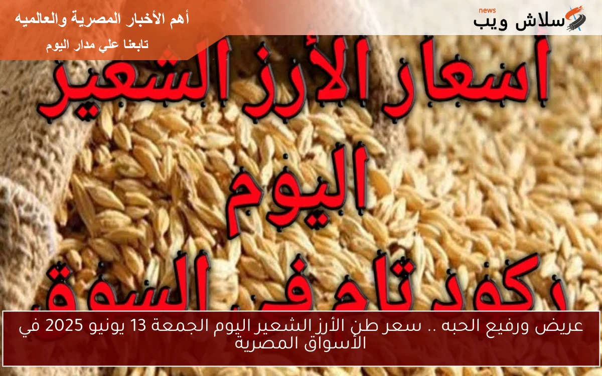 عريض ورفيع الحبه .. سعر طن الأرز الشعير اليوم الجمعة 13 يونيو 2025 في الأسواق المصرية