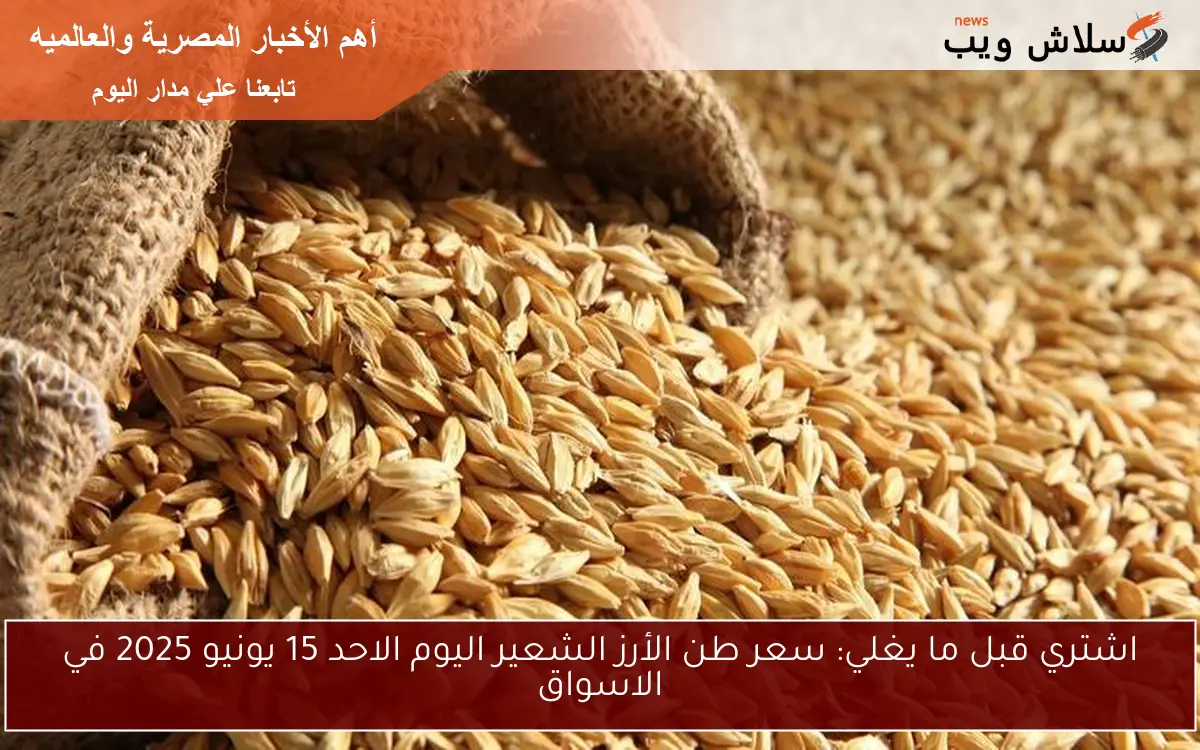 اشتري قبل ما يغلي: سعر طن الأرز الشعير اليوم الاحد 15 يونيو 2025 في الاسواق