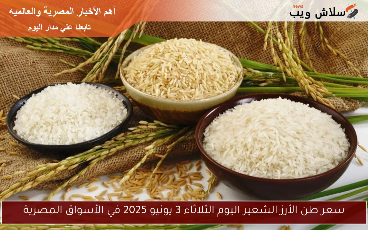 سعر طن الأرز الشعير اليوم الثلاثاء 3 يونيو 2025 في الأسواق المصرية