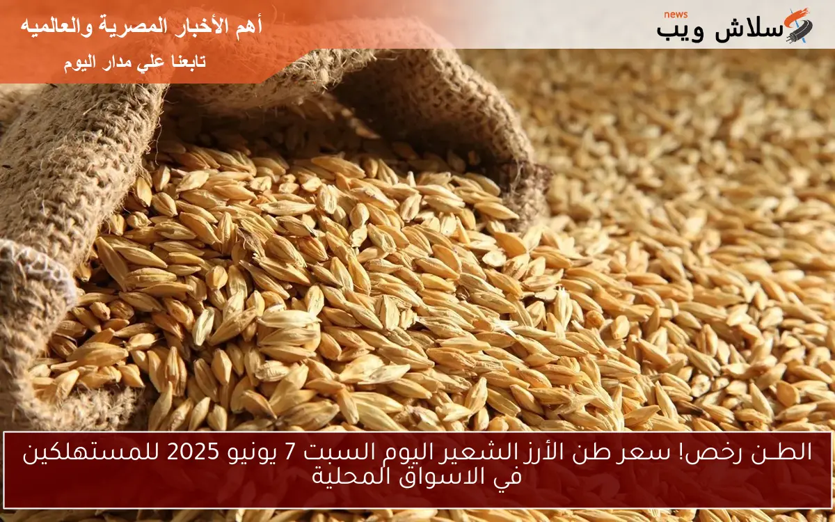 الطــن رخص! سعر طن الأرز الشعير اليوم السبت 7 يونيو 2025 للمستهلكين في الاسواق المحلية