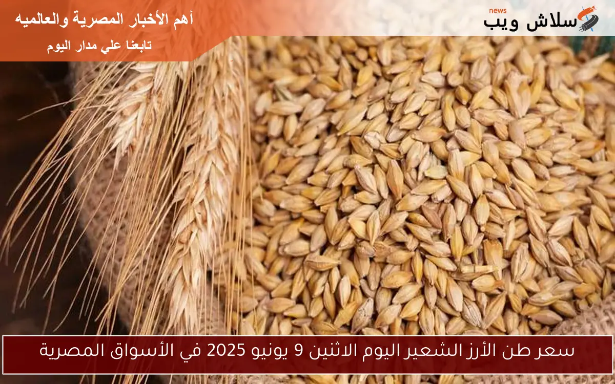 سعر طن الأرز الشعير اليوم الاثنين 9 يونيو 2025 في الأسواق المصرية
