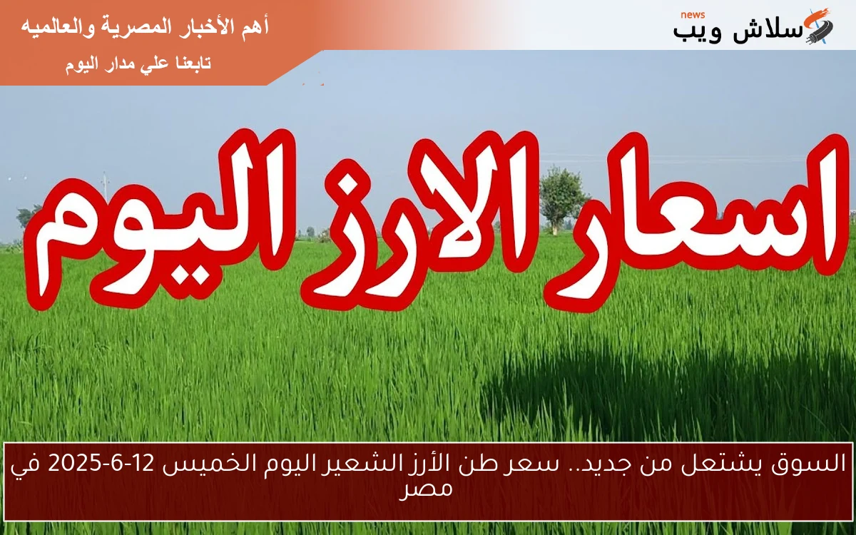 السوق يشتعل من جديد.. سعر طن الأرز الشعير اليوم الخميس 12-6-2025 في مصر