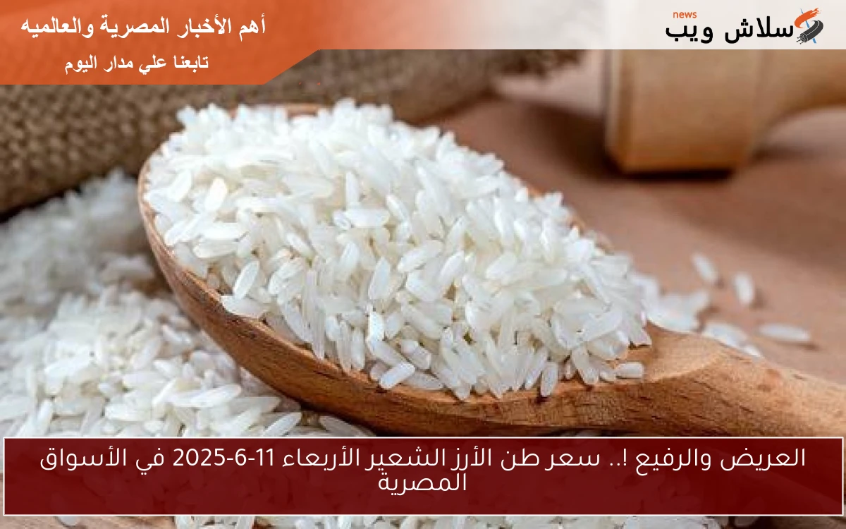 العريض والرفيع !.. سعر طن الأرز الشعير الأربعاء 11-6-2025 في الأسواق المصرية