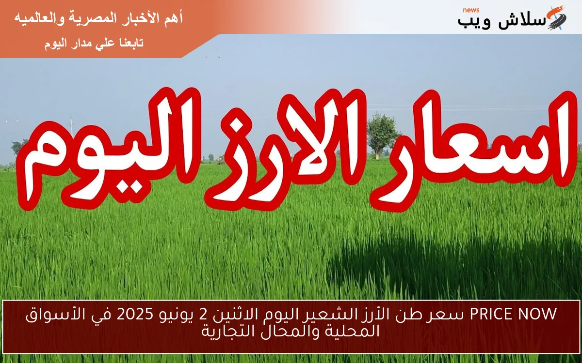 PRICE NOW سعر طن الأرز الشعير اليوم الاثنين 2 يونيو 2025 في الأسواق المحلية والمحال التجارية
