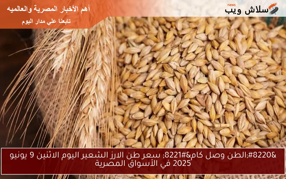 “الطن وصل كام” سعر طن الارز الشعير اليوم الاثنين 9 يونيو 2025 في الأسواق المصرية