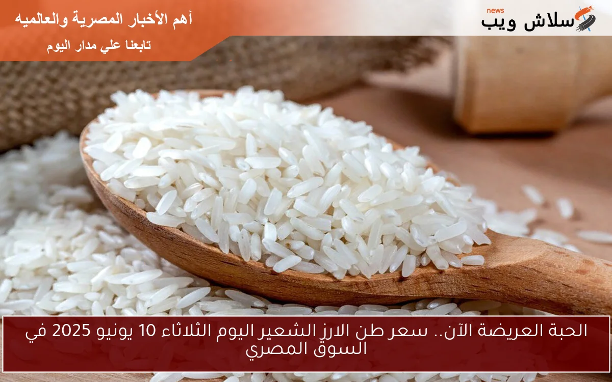 الحبة العريضة الآن.. سعر طن الارز الشعير اليوم الثلاثاء 10 يونيو 2025 في السوق المصري