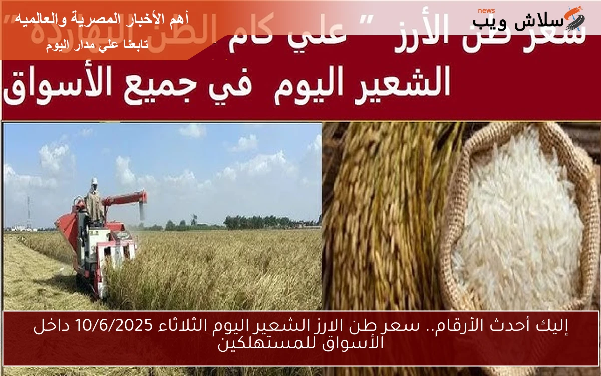 إليك أحدث الأرقام.. سعر طن الارز الشعير اليوم الثلاثاء 10/6/2025 داخل الأسواق للمستهلكين