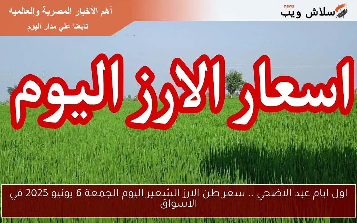 اول ايام عيد الاضحي .. سعر طن الارز الشعير اليوم الجمعة 6 يونيو 2025 في الاسواق