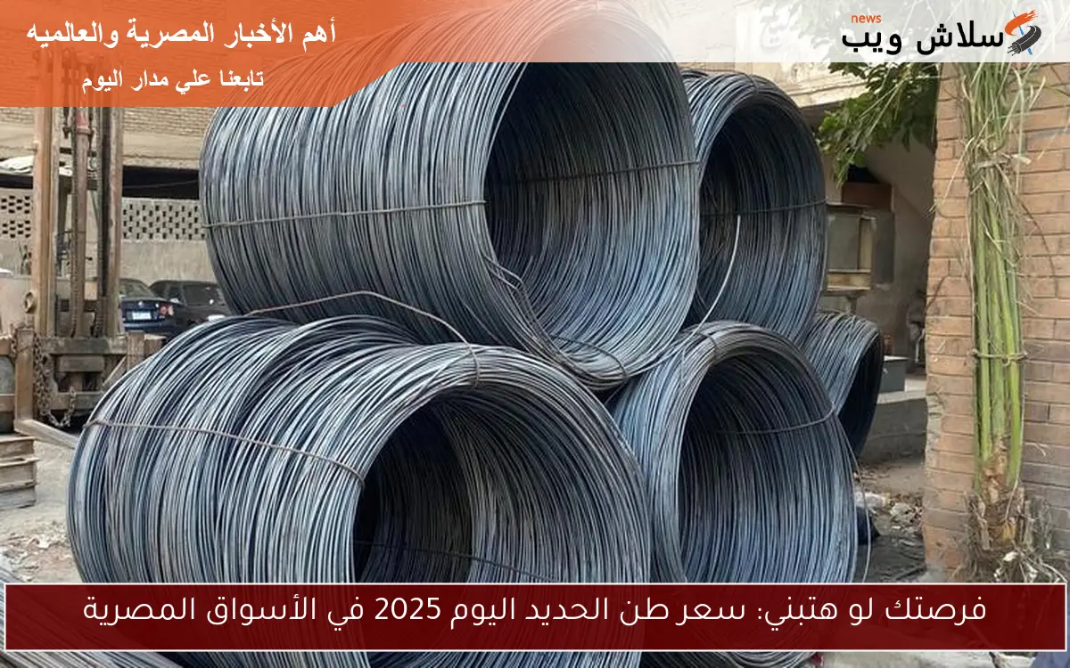 فرصتك لو هتبني: سعر طن الحديد اليوم 2025 في الأسواق المصرية