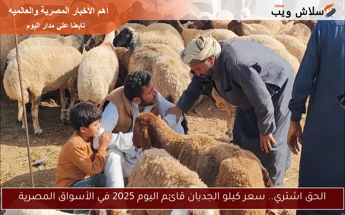 الحق اشتري.. سعر كيلو الجديان قائم اليوم 2025 في الأسواق المصرية