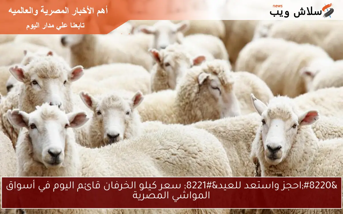 “احجز واستعد للعيد” سعر كيلو الخرفان قائم اليوم في أسواق المواشي المصرية