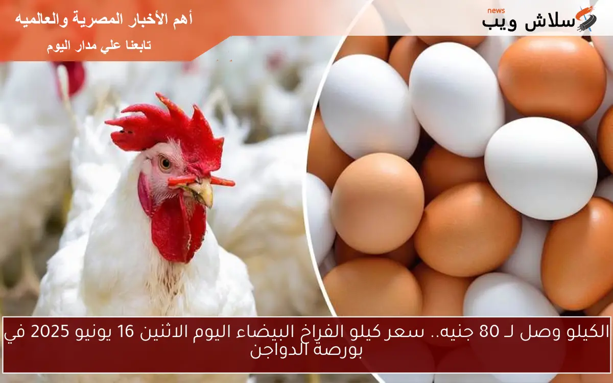 الكيلو وصل لــ 80 جنيه.. سعر كيلو الفراخ البيضاء اليوم الاثنين 16 يونيو 2025 في بورصة الدواجن