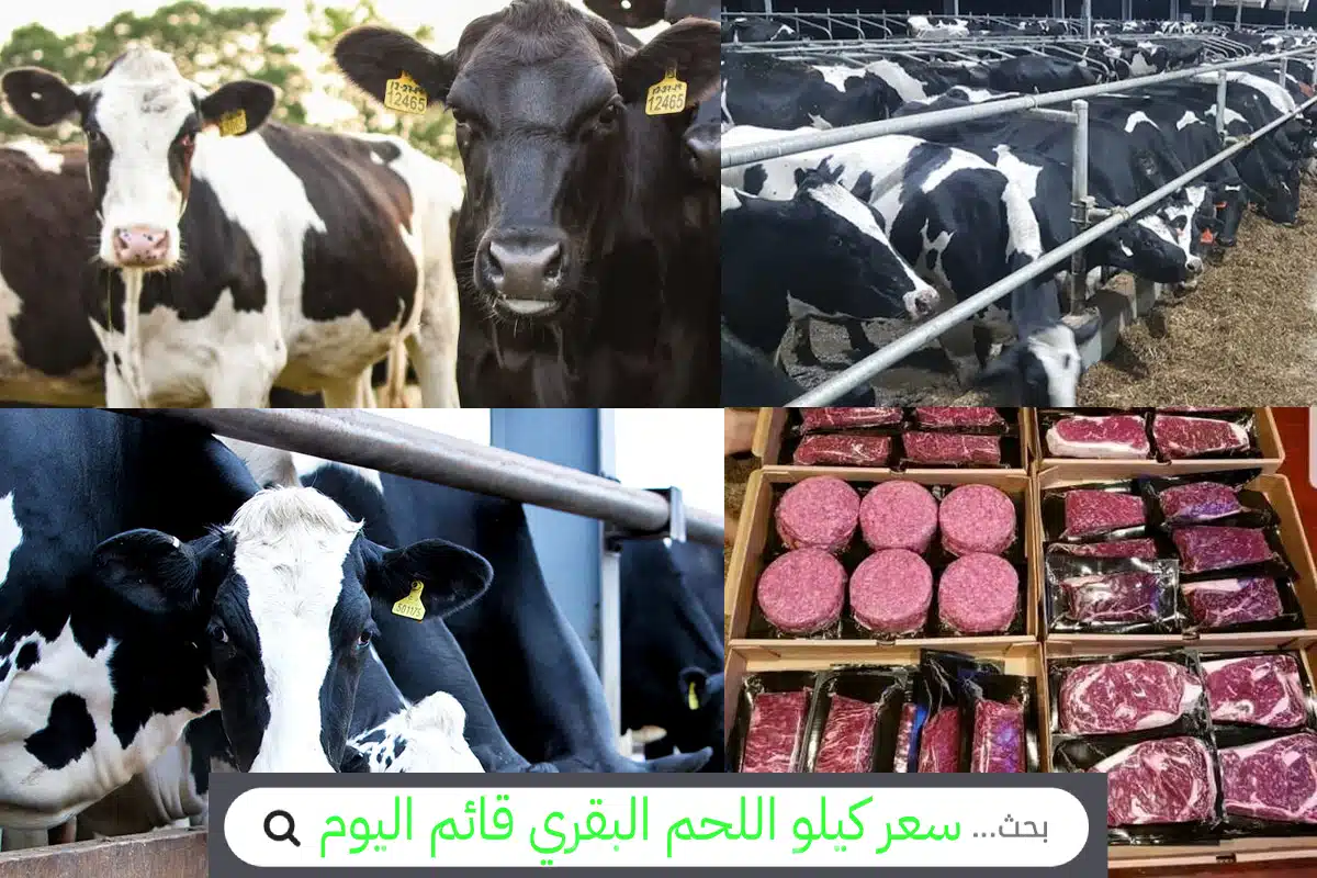 رخيـــصة ولزيزة.. سعر كيلو اللحم البقري قائم اليوم الأحد 8 / 6 / 2028 السعر بكام بعد العيد