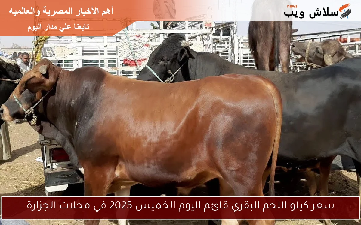 سعر كيلو اللحم البقري قائم اليوم الخميس 2025 في محلات الجزارة