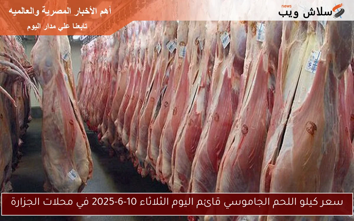سعر كيلو اللحم الجاموسي قائم اليوم الثلاثاء 10-6-2025 في محلات الجزارة