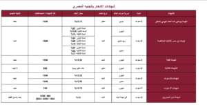 شهادات بنك مصر الجديدة