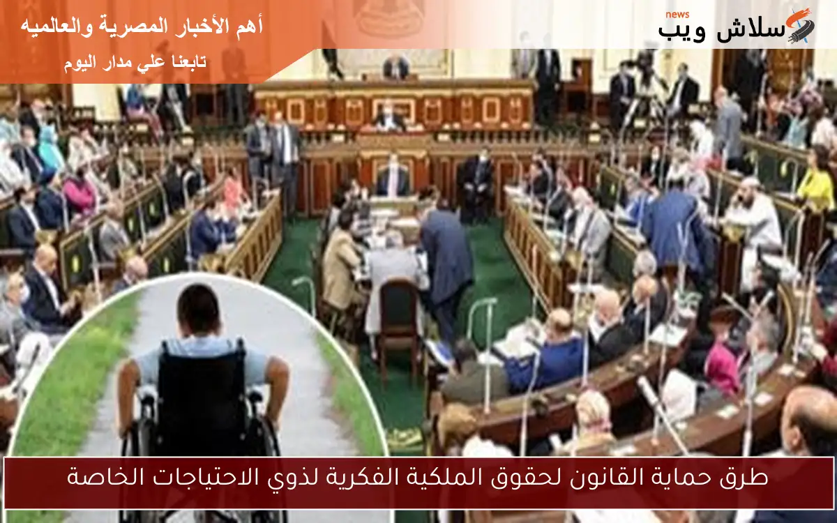 طرق حماية القانون لحقوق الملكية الفكرية لذوي الاحتياجات الخاصة