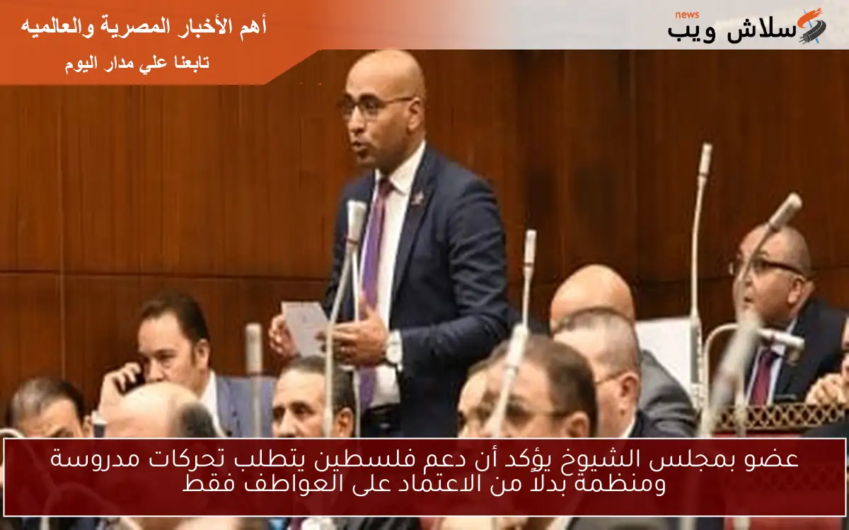 عضو بمجلس الشيوخ يؤكد أن دعم فلسطين يتطلب تحركات مدروسة ومنظمة بدلاً من الاعتماد على العواطف فقط