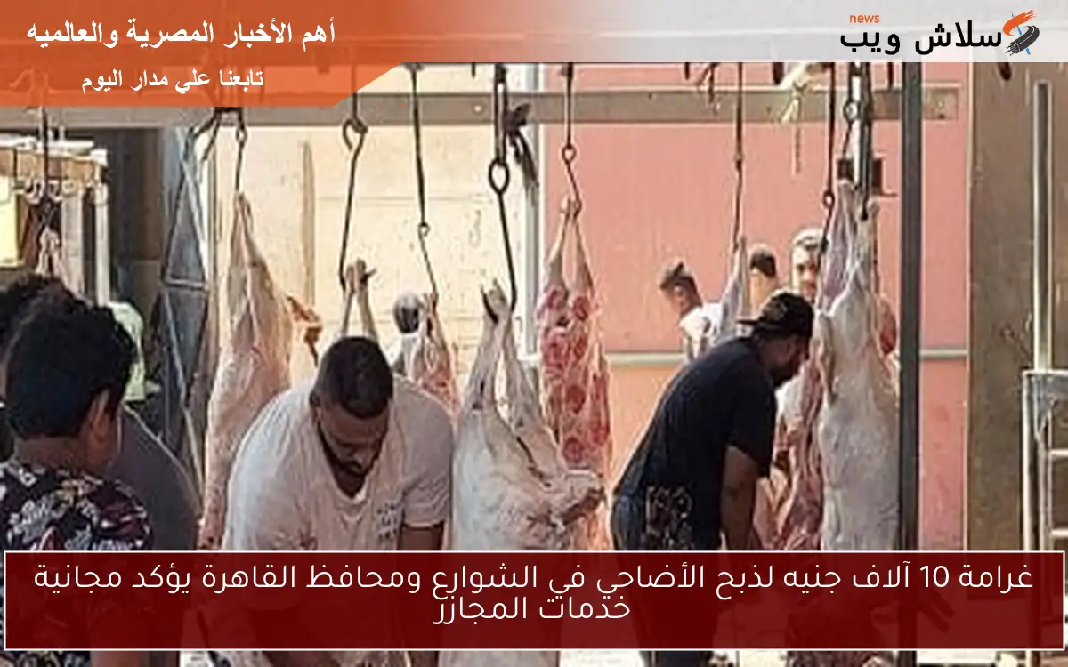 غرامة 10 آلاف جنيه لذبح الأضاحي في الشوارع ومحافظ القاهرة يؤكد مجانية خدمات المجازر
