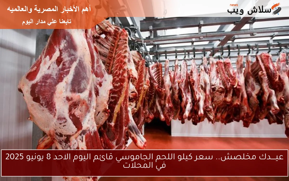 عيــــدك مخلصش.. سعر كيلو اللحم الجاموسي قائم اليوم الاحد 8 يونيو 2025 في المحلات
