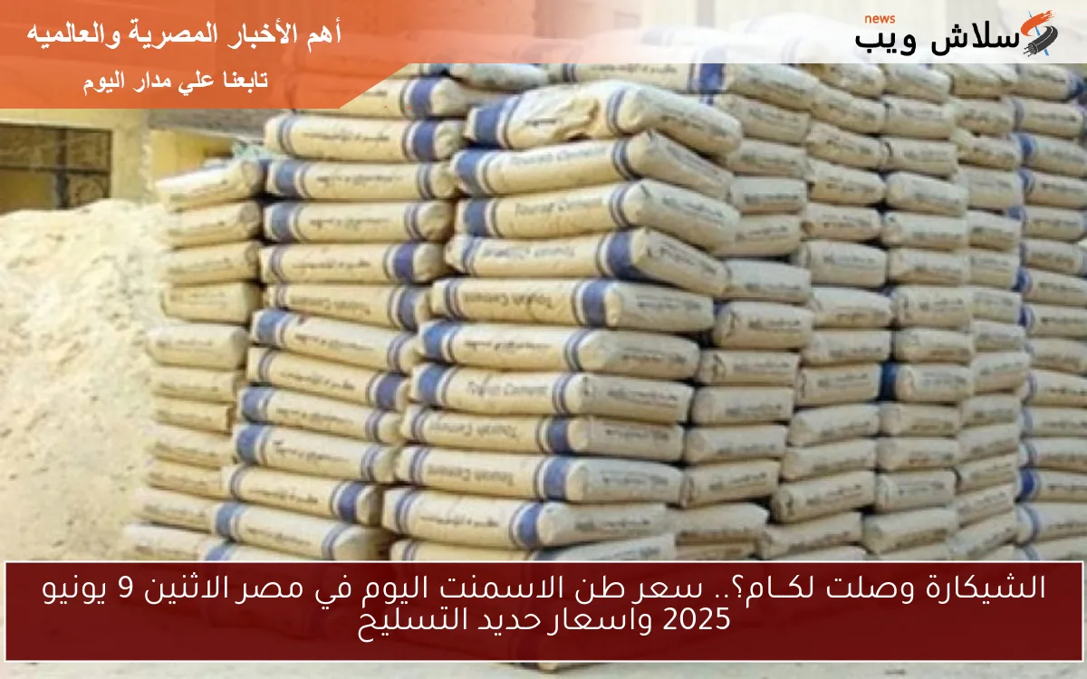 الشيكارة وصلت لكـــام؟.. سعر طن الاسمنت اليوم في مصر الاثنين 9 يونيو 2025 واسعار حديد التسليح