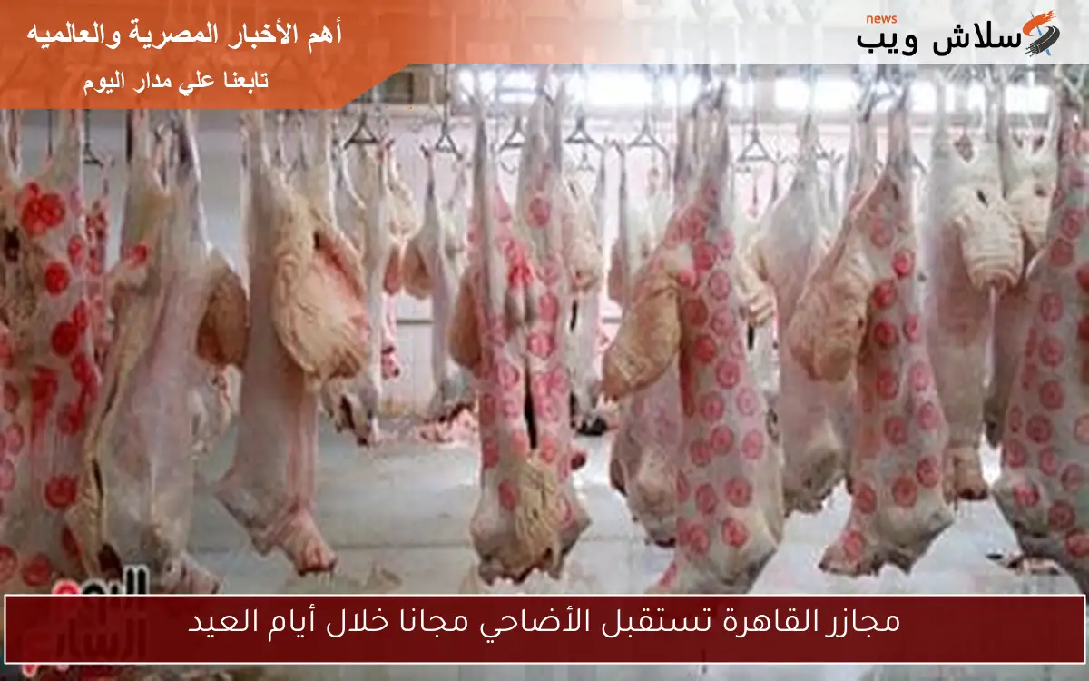 مجازر القاهرة تستقبل الأضاحي مجانا خلال أيام العيد