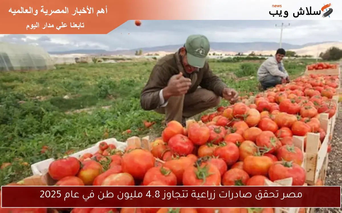 مصر تحقق صادرات زراعية تتجاوز 4.8 مليون طن في عام 2025