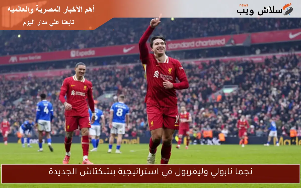 نجما نابولي وليفربول في استراتيجية بشكتاش الجديدة