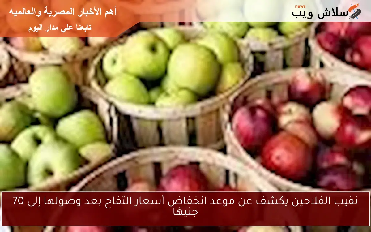 نقيب الفلاحين يكشف عن موعد انخفاض أسعار التفاح بعد وصولها إلى 70 جنيهًا