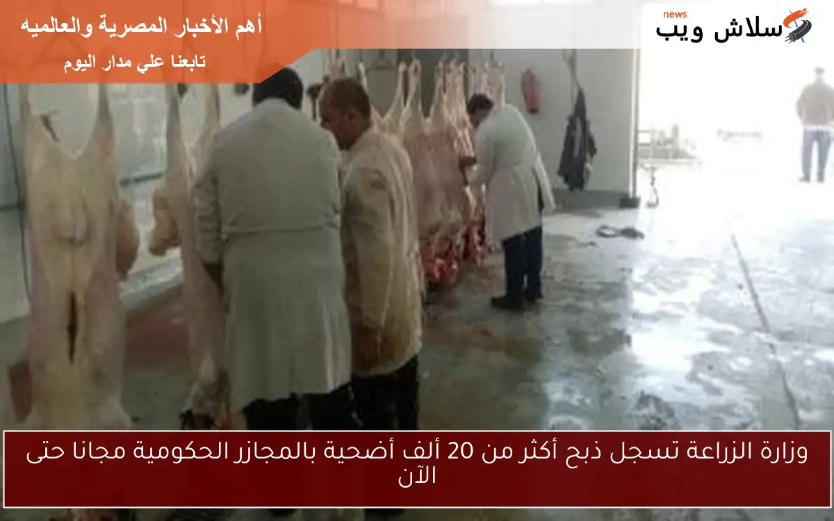 وزارة الزراعة تسجل ذبح أكثر من 20 ألف أضحية بالمجازر الحكومية مجانا حتى الآن
