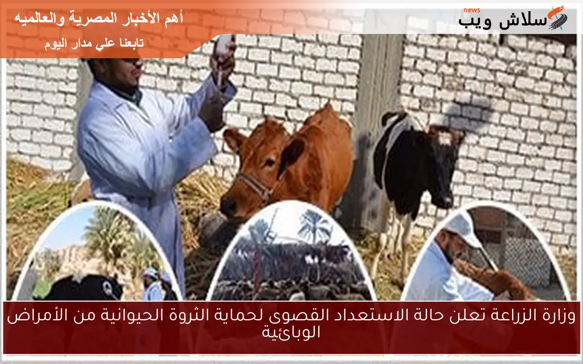 وزارة الزراعة تعلن حالة الاستعداد القصوى لحماية الثروة الحيوانية من الأمراض الوبائية