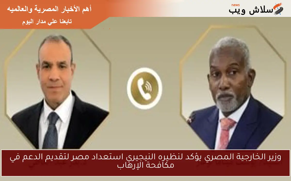 وزير الخارجية المصري يؤكد لنظيره النيجيري استعداد مصر لتقديم الدعم في مكافحة الإرهاب