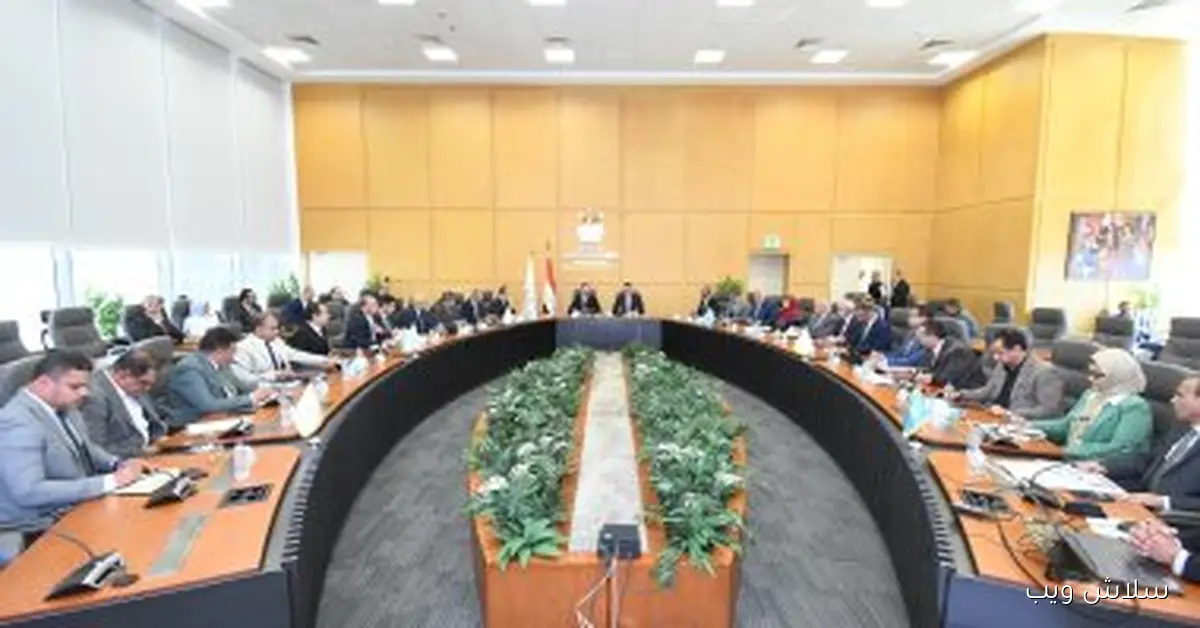 وزير الإسكان يناقش مع رئيس جهاز مستقبل مصر للتنمية المستدامة ملفات العمل الأساسية